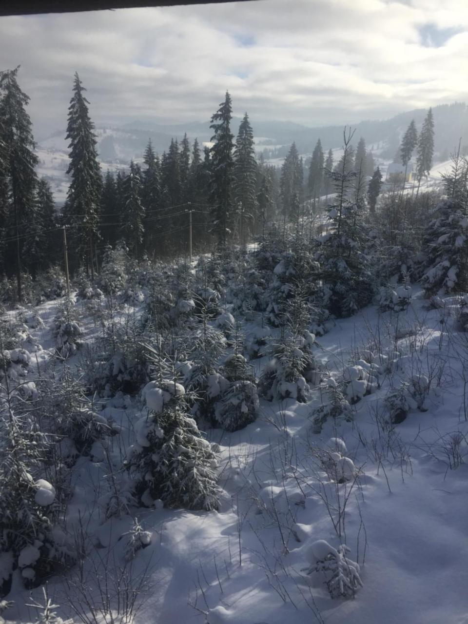Chalet Shepit Karpat Bukoveľ Exteriér fotografie