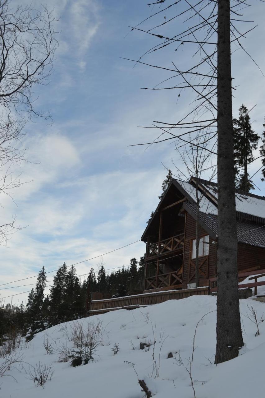 Chalet Shepit Karpat Bukoveľ Exteriér fotografie