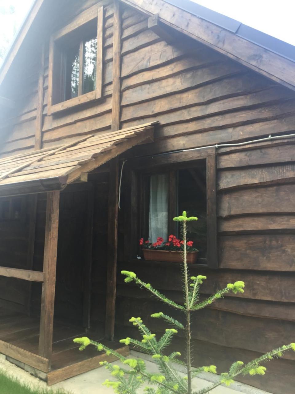 Chalet Shepit Karpat Bukoveľ Exteriér fotografie